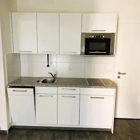 Apartamento Flats With Balcony Hilda Self Checkin Zurique