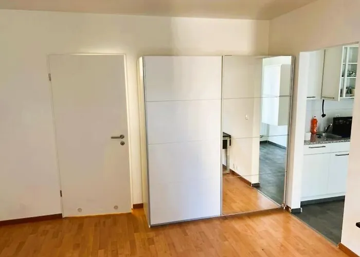 Appartement Flats With Balcony Hilda Self Checkin Zurich